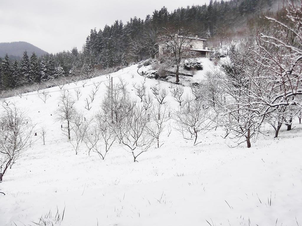 Casa Rural Madariaga 호텔 Artea 외부 사진
